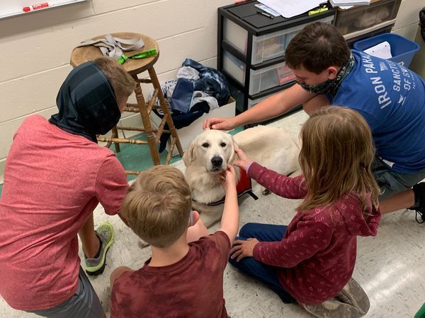Students pet Golden Retriever service dog