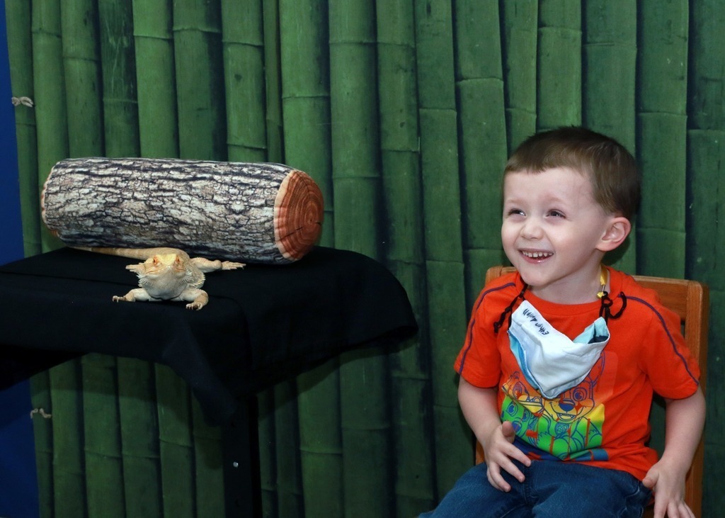 Child laughs with joy beside bearded dragon