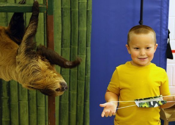 Child smiles beside upside-down sloth