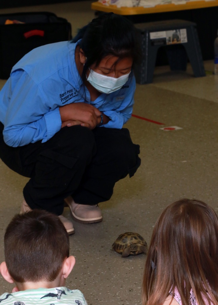 Wildlife handler and students watch turtle crawl on floor