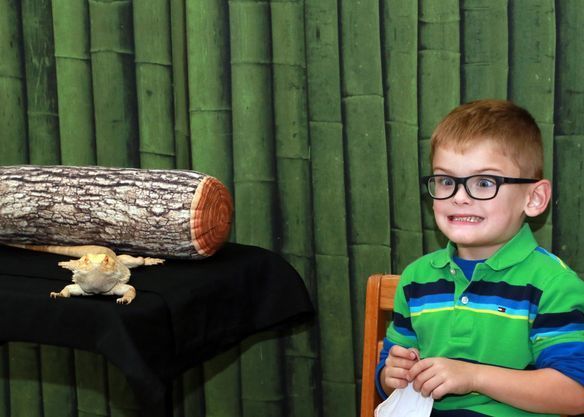 Smiling child with wide eyes poses beside a bearded dragon