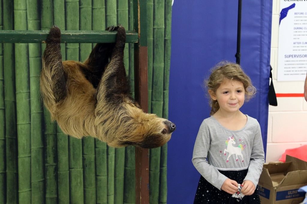 Girl smiles beside Charlie the Sloth