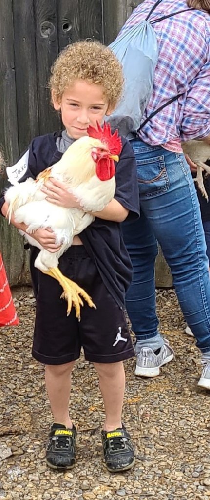 Child holds chicken