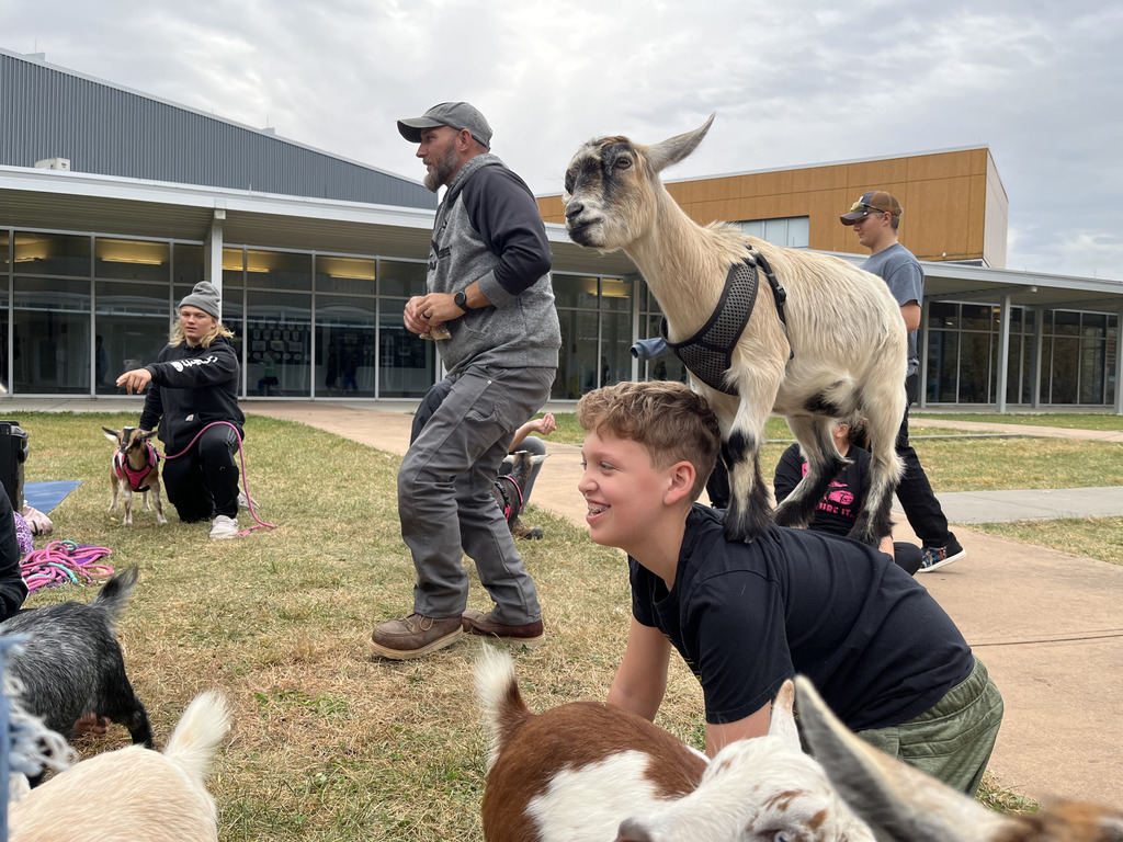 Goat on boys back during goat yoga event