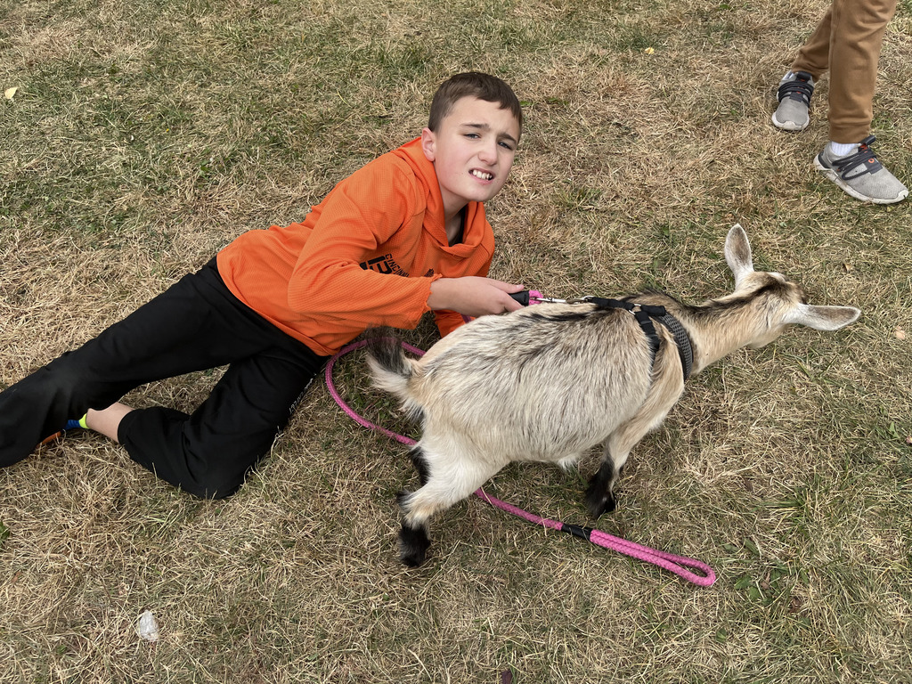 Boy lays down to pet goat during yoga event 